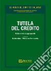 Tutela del credito. Codice civile e leggi speciali libro