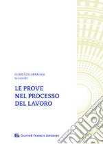 Le prove nel processo del lavoro libro