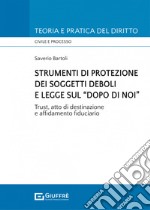 Strumenti di protezione dei soggetti deboli e legge sul «dopo di noi»