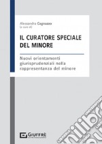 Il curatore speciale del minore libro