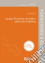 I gruppi di società nel codice della crisi d'impresa