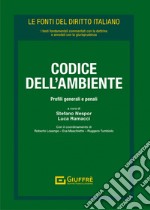 Codice dell'ambiente libro