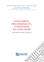 Connessione, pregiudizialità, sospensione e altri studi. In ricordo di Natale Giallongo libro