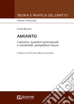 Amainto. Casistica, questioni processuali e sostanziali, prospettive future libro