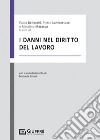 I danni nel diritto del lavoro libro