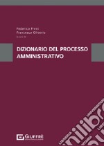 Dizionario del processo amministrativo libro