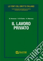 Il lavoro privato libro