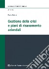 Gestione della crisi e piani di risanamento aziendali libro