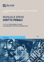 Diritto penale. Manuale breve