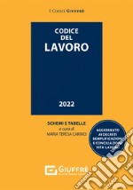 Codice del lavoro libro