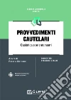 Provvedimenti cautelari libro