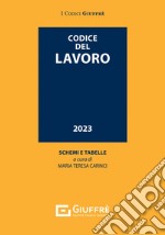 Codice del lavoro libro