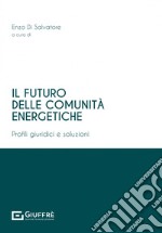 Il futuro delle comunità energetiche libro