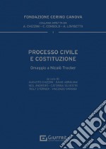 Processo civile e Costituzione libro