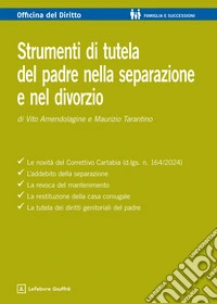 Strumenti di tutela del padre nella separazione e nel divorzio libro