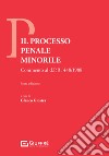 Il processo penale minorile. Commento al DPR 448/1988 libro di Giostra G. (cur.)