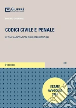 Codici civile e penale. Ultime annotazioni giurisprudenziali libro