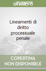 Lineamenti di diritto processuale penale libro