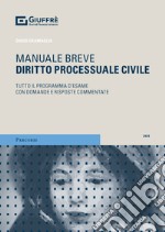 Diritto processuale civile libro