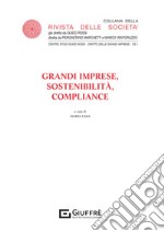 Grandi imprese, sostenibilità, compliance