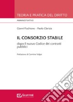 Il consorzio stabile tra novità e conferme dopo il nuovo Codice dei contratti pubblici (d.lgs. n. 36/2023) libro