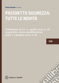 Pacchetto sicurezza: tutte le novità libro