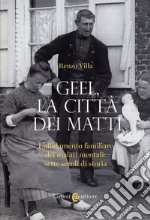 Geel, la città dei matti. L'affidamento familiare dei malati mentali: sette secoli di storia libro