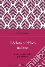 Il debito pubblico italiano. Storia, teoria e scelte per il futuro libro