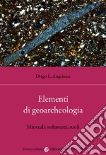 Elementi di geoarcheologia. Minerali, sedimenti, suoli libro