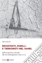 Resistenti, ribelli e terroristi nel Sahel. Dall'occupazione coloniale alle crisi contemporanee (1897-2022) libro