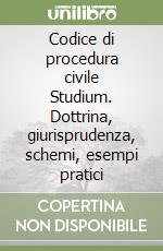 Codice di procedura civile Studium. Dottrina, giurisprudenza, schemi, esempi pratici libro