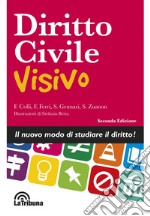 Diritto civile visivo