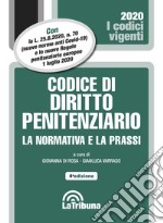 Codice di diritto penitenziario. La normativa e la prassi libro