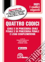 Quattro codici. Civile e di procedura civile, penale e di procedura penale e leggi complementari libro