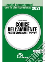 Codice dell'ambiente libro