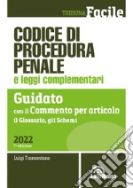 Codice di procedura penale e leggi complementari. Guidato con il commento per articolo, il glossario, gli schemi libro