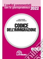 Codice dell'immigrazione libro