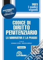 Codice di diritto penitenziario. La normativa e la prassi libro