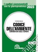 Codice dell'ambiente libro