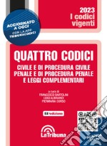 Quattro codici. Civile e di procedura civile, penale e di procedura penale e leggi complementari libro