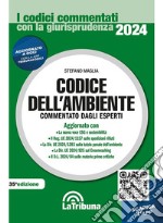 Codice dell'ambiente libro