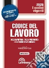 Codice del lavoro, degli infortuni, della previdenza e dell'assistenza sociale libro