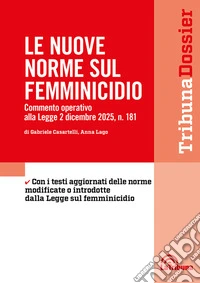 Le nuove norme sul femminicidio libro