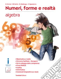 Numeri, forme e realtà. Per la Scuola media. Con e-book. Con espansione online. Vol. 3: Algebra-Geometria libro