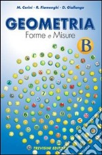 Geometria. Forme e misure. Vol. B. Per la Scuola media libro