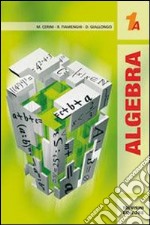 Algebra 1. Tomo A. Per le Scuole superiori. Con espansione online. Vol. 1 libro