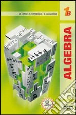 Algebra 1. Tomo B. Per le Scuole superiori. Vol. 1 libro