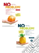 No problem! Per la Scuola media. Con e-book. Con espansione online. Vol. 3: Algebra e Geometria libro usato