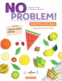 No problem! Didattica inclusiva. Per la Scuola media. Vol. 3 libro