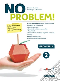 No problem! Geometria. Per la Scuola media. Con e-book. Con espansione online. Vol. 2 libro